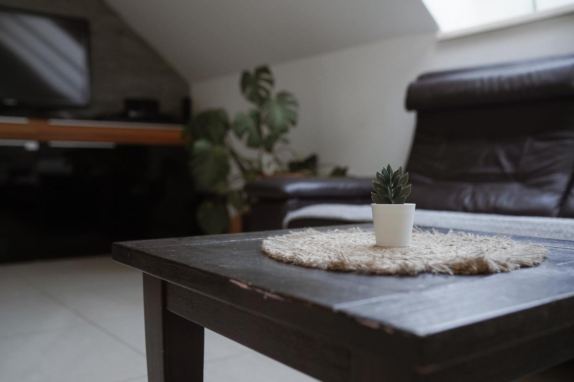Apartments Unite Бохинь Экстерьер фото